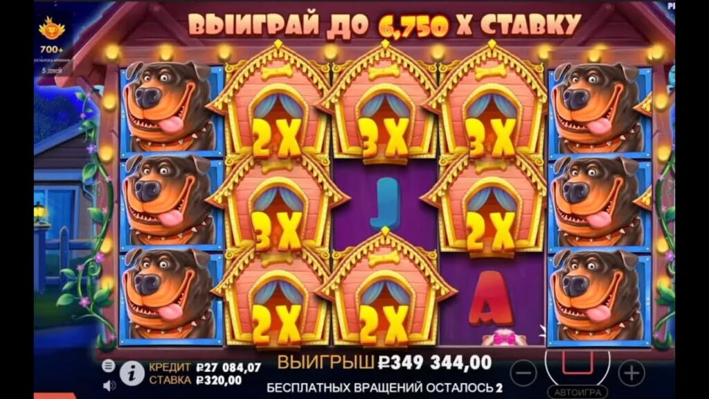 The Dog House занос